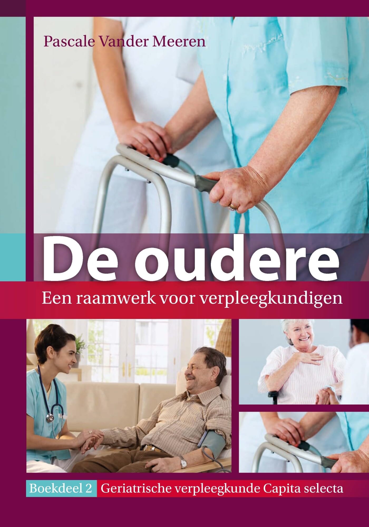 De oudere: een raamwerk voor verpleegkundigen - Deel 2 book