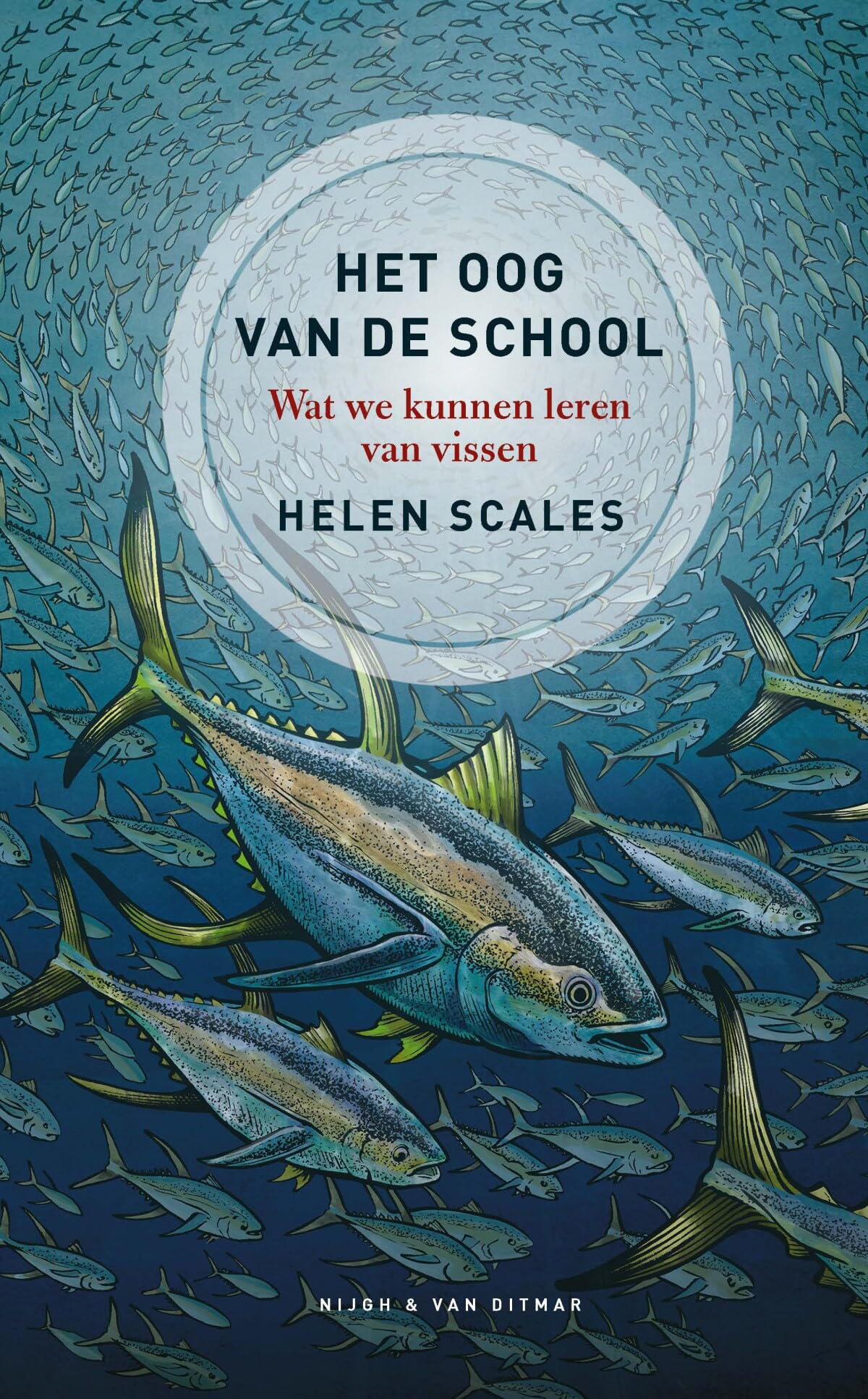 Het oog van de school: wat we kunnen leren van vissen book