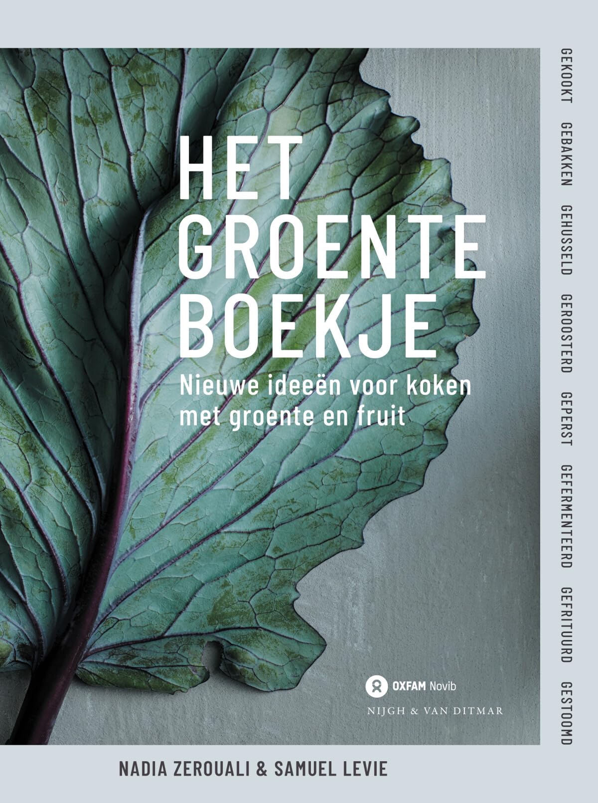 Groenteboekje: nieuwe ideeën voor koken met groente en fruit book