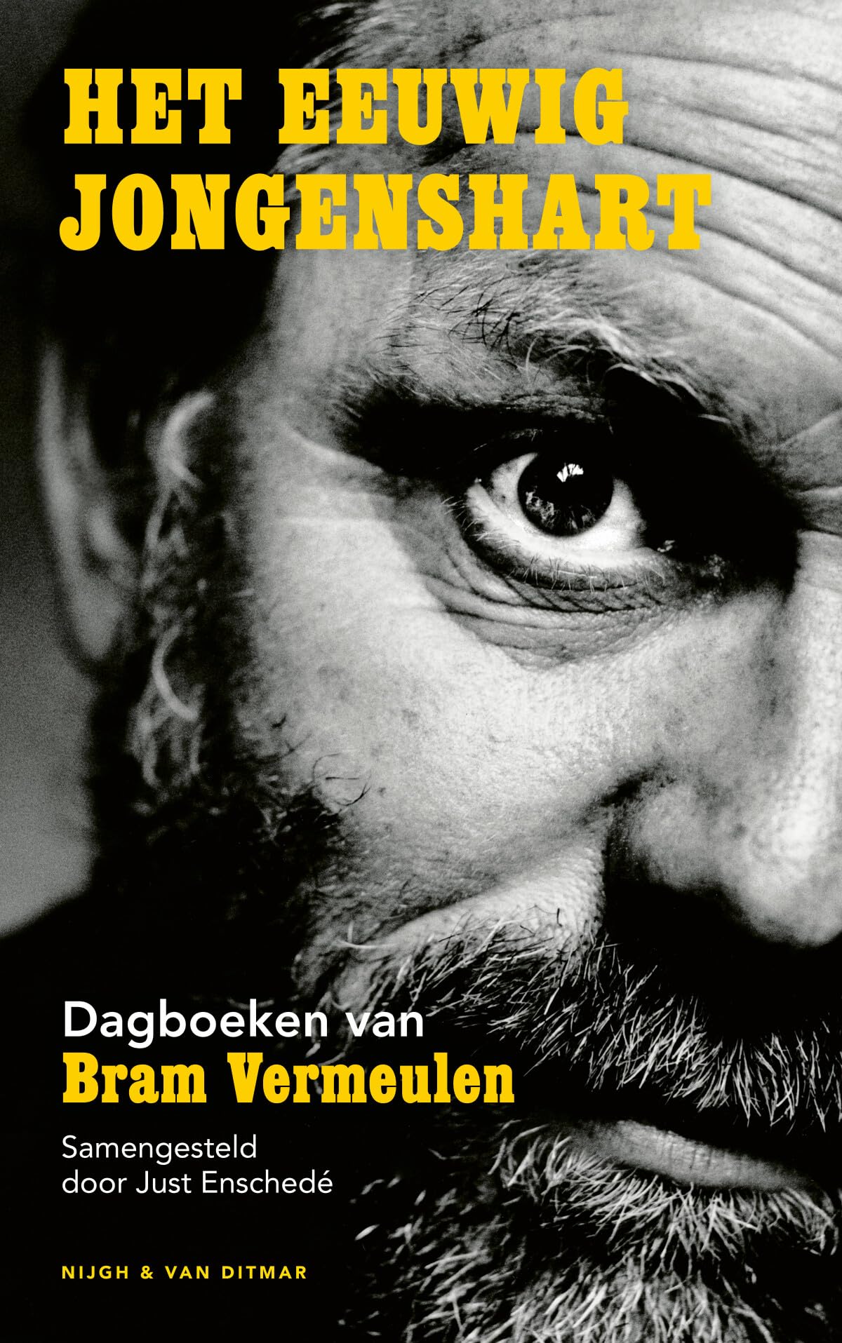 Het eeuwig jongenshart: dagboeken van Bram Vermeulen Essays & Short Stories