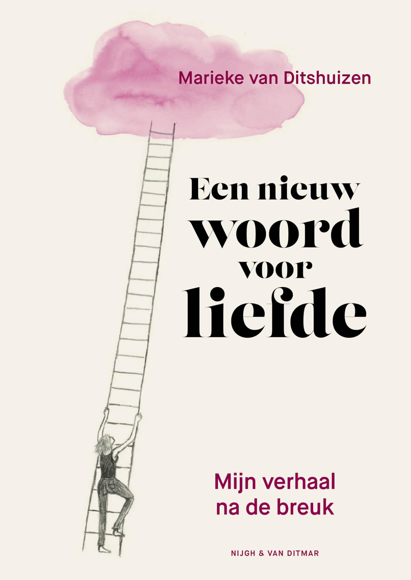 Een nieuw woord voor liefde: een graphic memoir over vallen en opstaan na een scheiding Memories