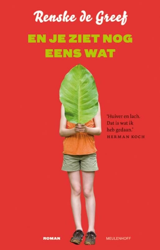 En je ziet nog eens wat: roman book