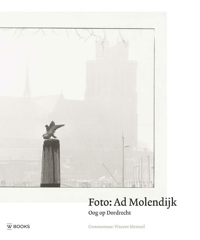 Foto: Ad Molendijk: oog op Dordrecht book