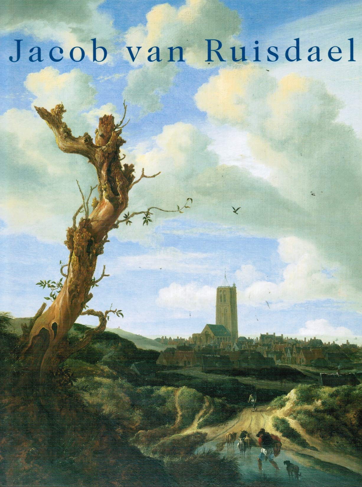 Jacob van Ruisdael de revolutie van Hollandse Landschap Books