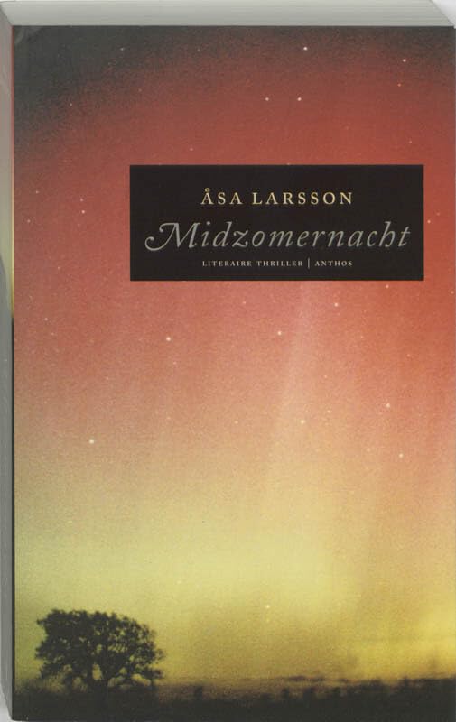 Midzomernacht (Rebecka Martinsson-serie, 2) Contemporary literature