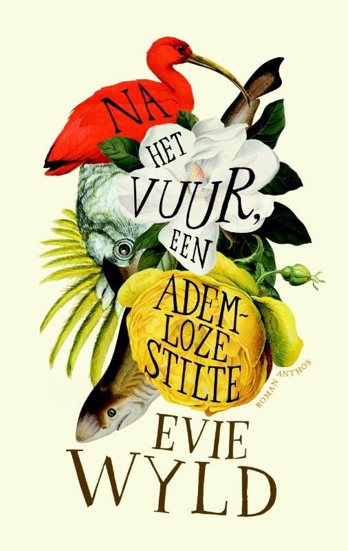 Na het vuur, een ademloze stilte book