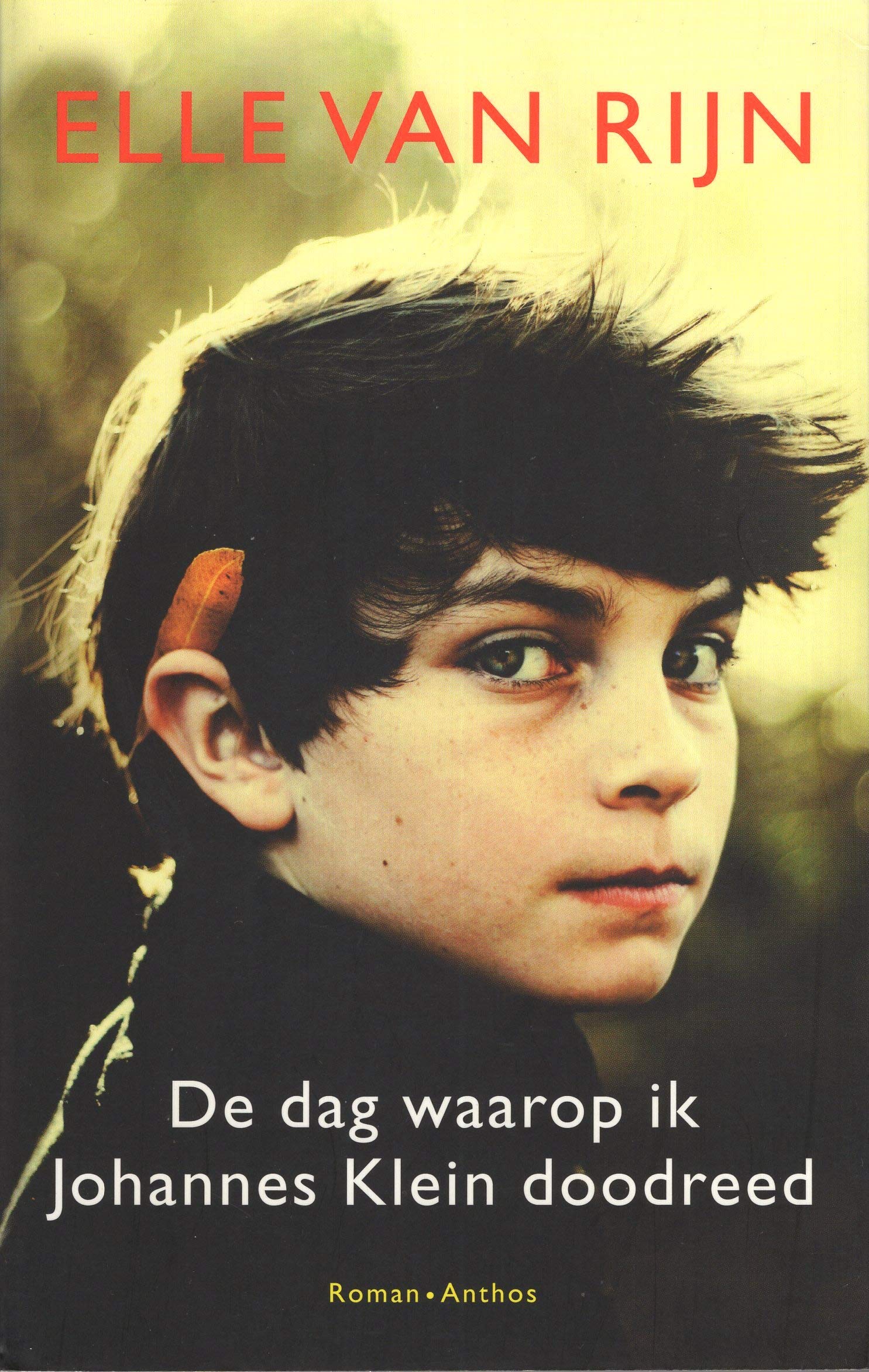 De dag waarop ik Johannes Klein doodreed book