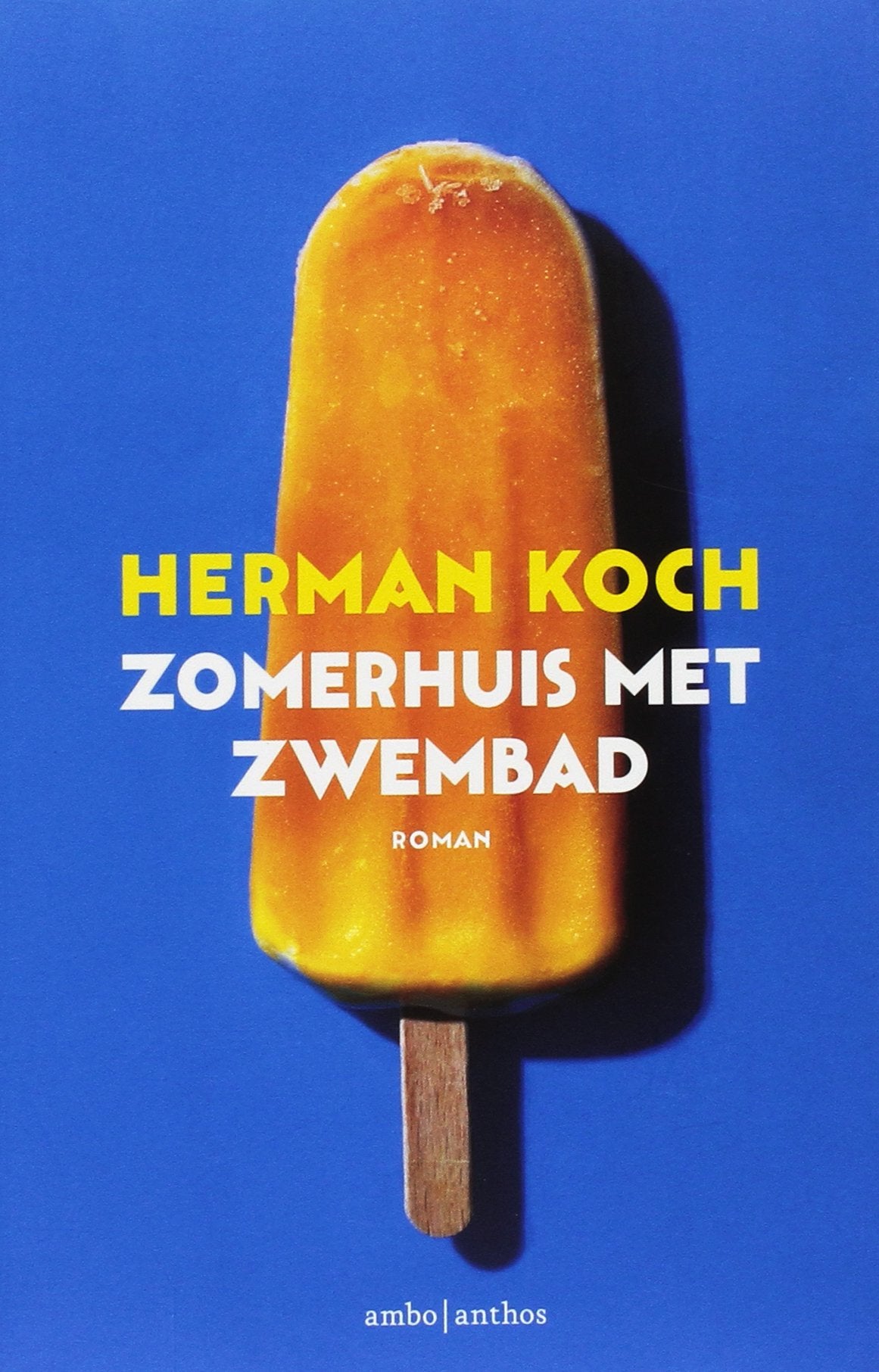 Zomerhuis met zwembad Contemporary literature
