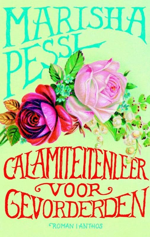 Calamiteitenleer voor gevorderden book