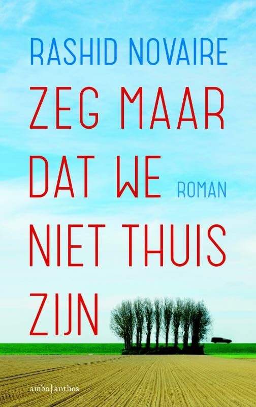 Zeg maar dat we niet thuis zijn Contemporary literature