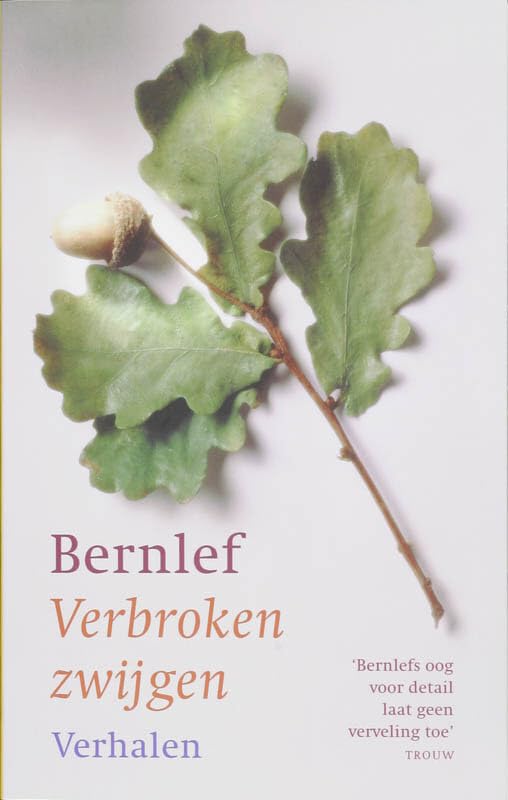 Verbroken zwijgen: Bernefs oog voor detail book