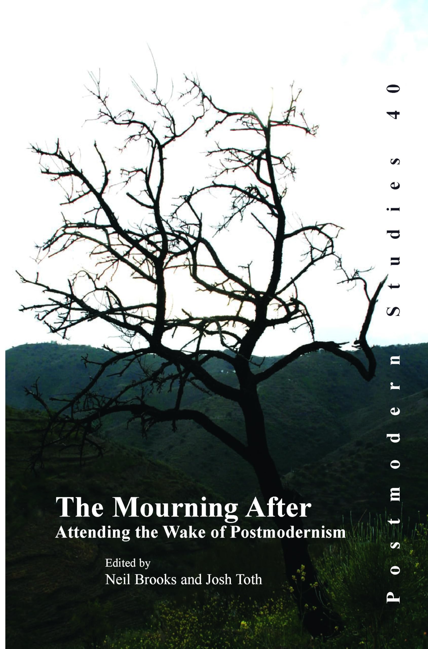 The Mourning After: Attending the Wake of Postmodernism (Postmodern Studies, 40, Band 40) Philosophy