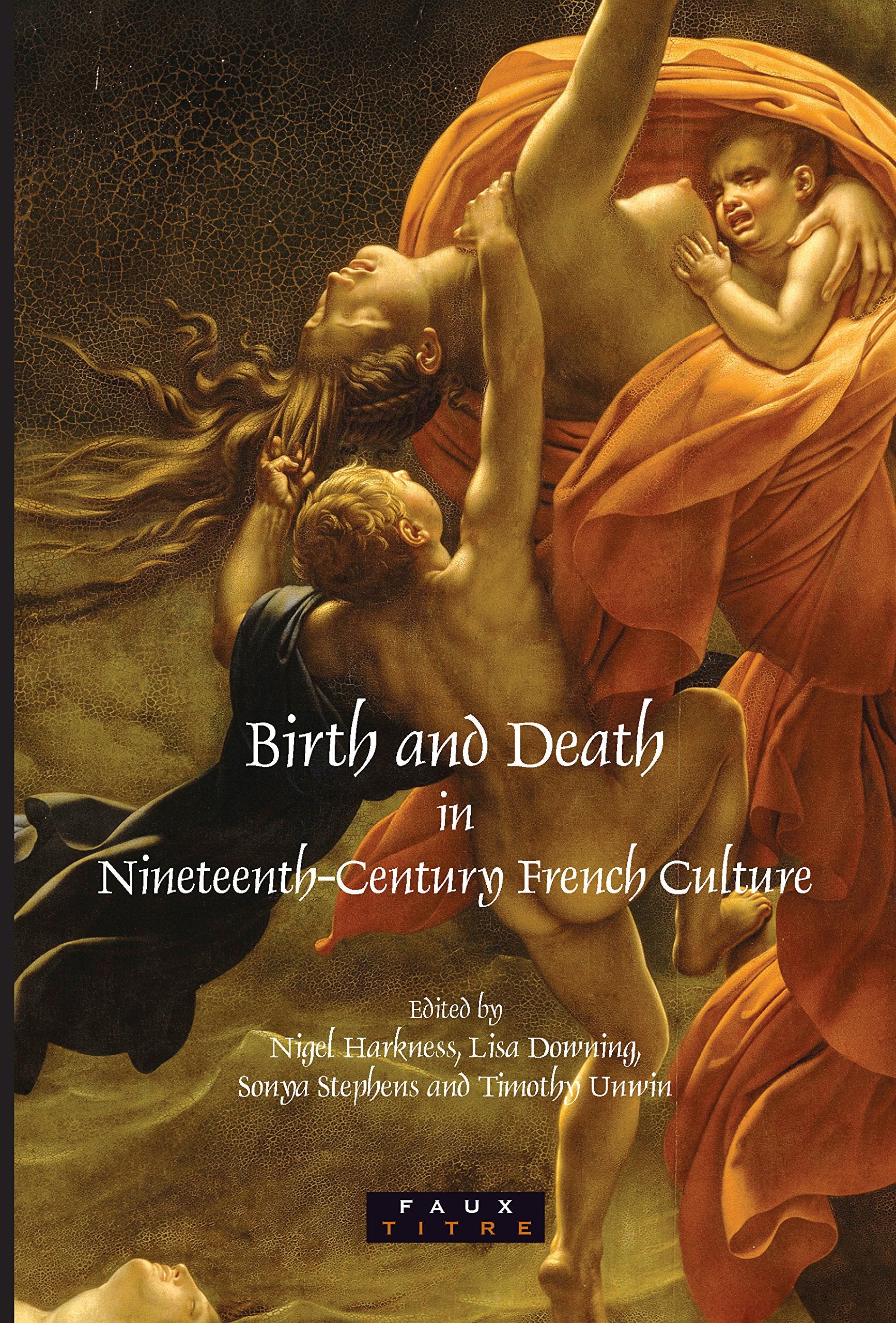 Birth and Death in Nineteenth-Century French Culture (Faux Titre, 301, Band 301) Death & Mourning