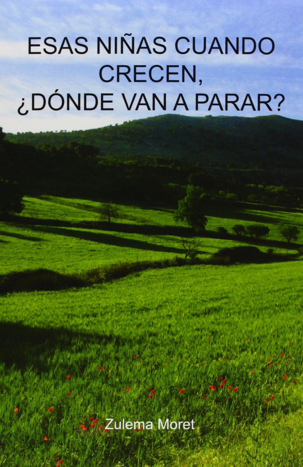 Esas Ninas Cuando Crecen, Donde Van a Parar? (Estudios Culturales, 35, Band 35) Law