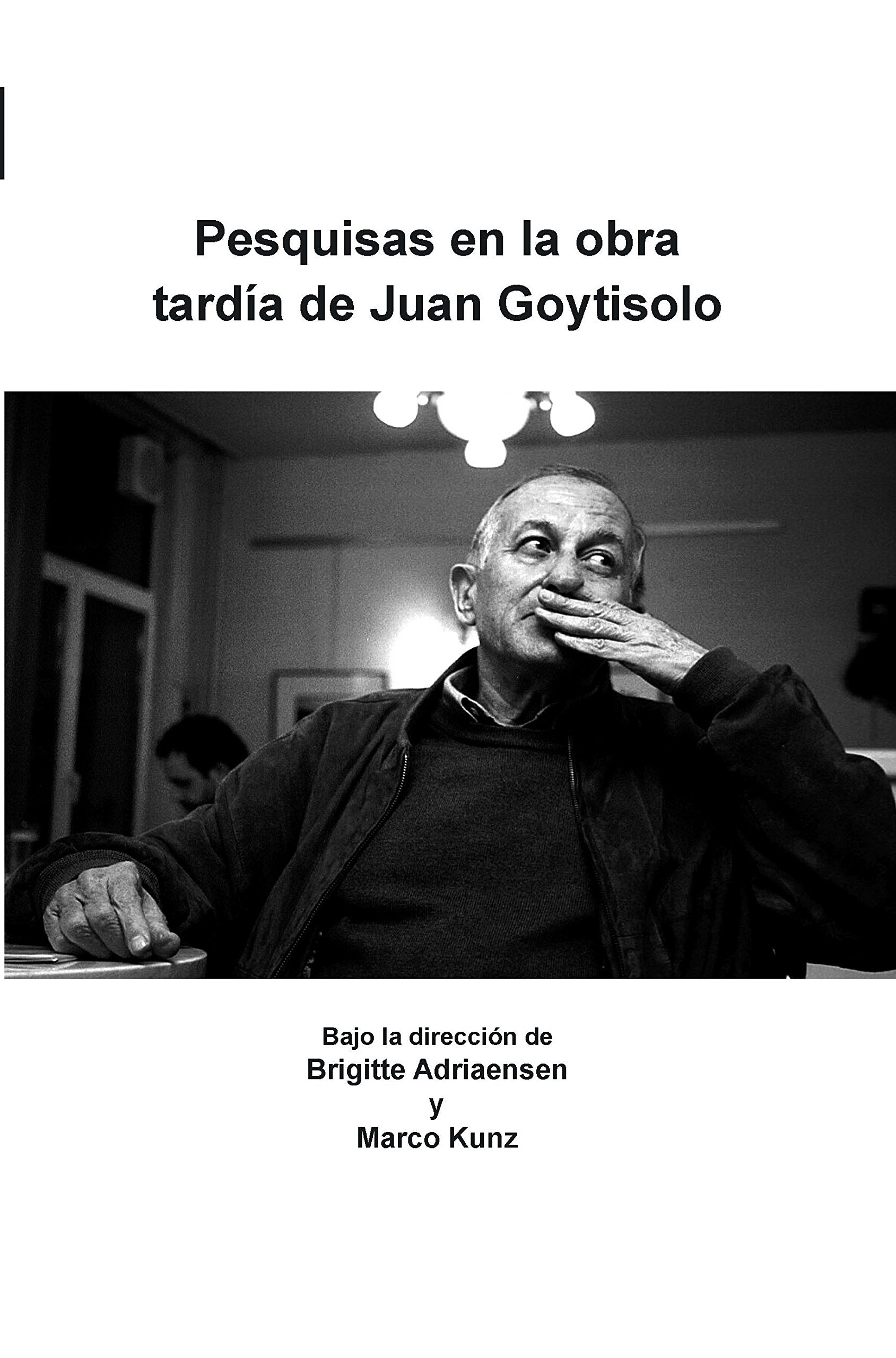 Pesquisas En La Obra Tardia de Juan Goytisolo (Foro Hispánico, 33, Band 33) Books