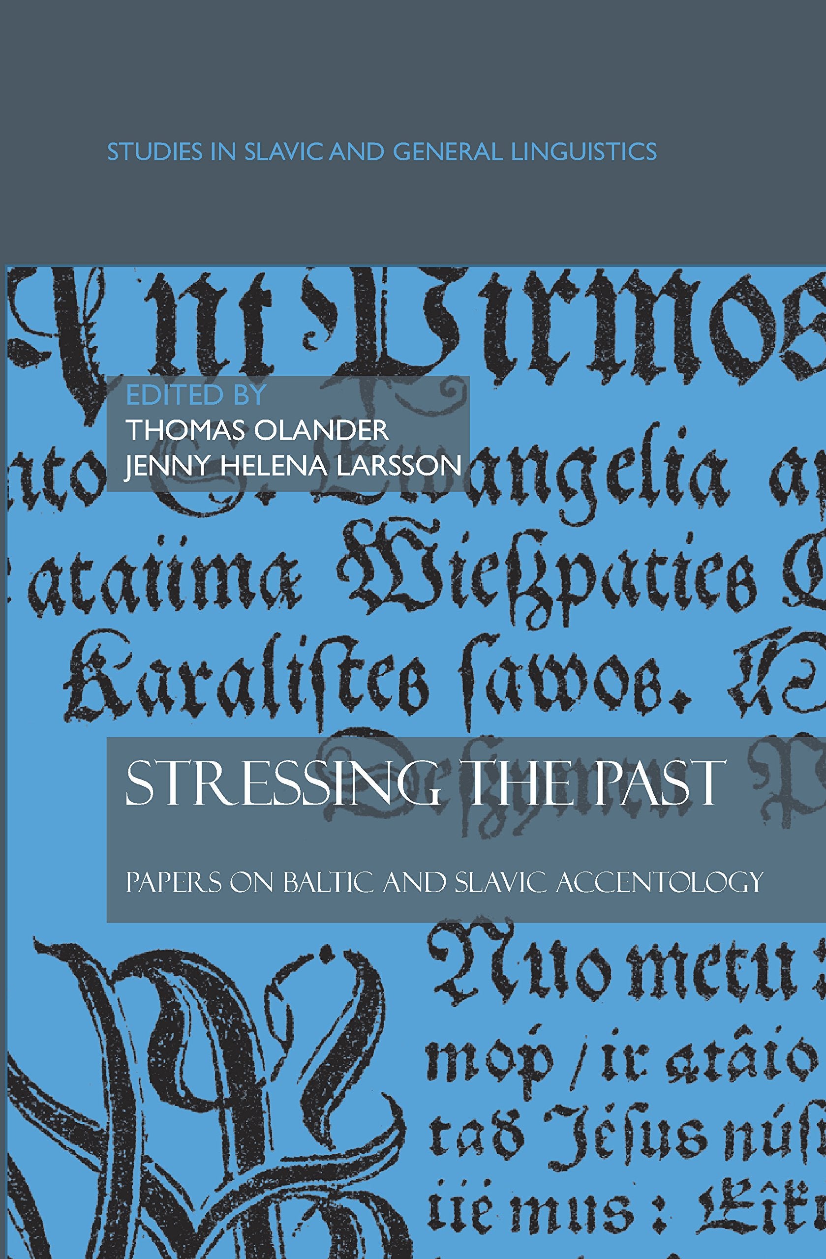 Stressing the Past: Papers on Baltic and Slavic Accentology (Studies in Slavic and General Linguistics, 35, Band 35) Social Sciences