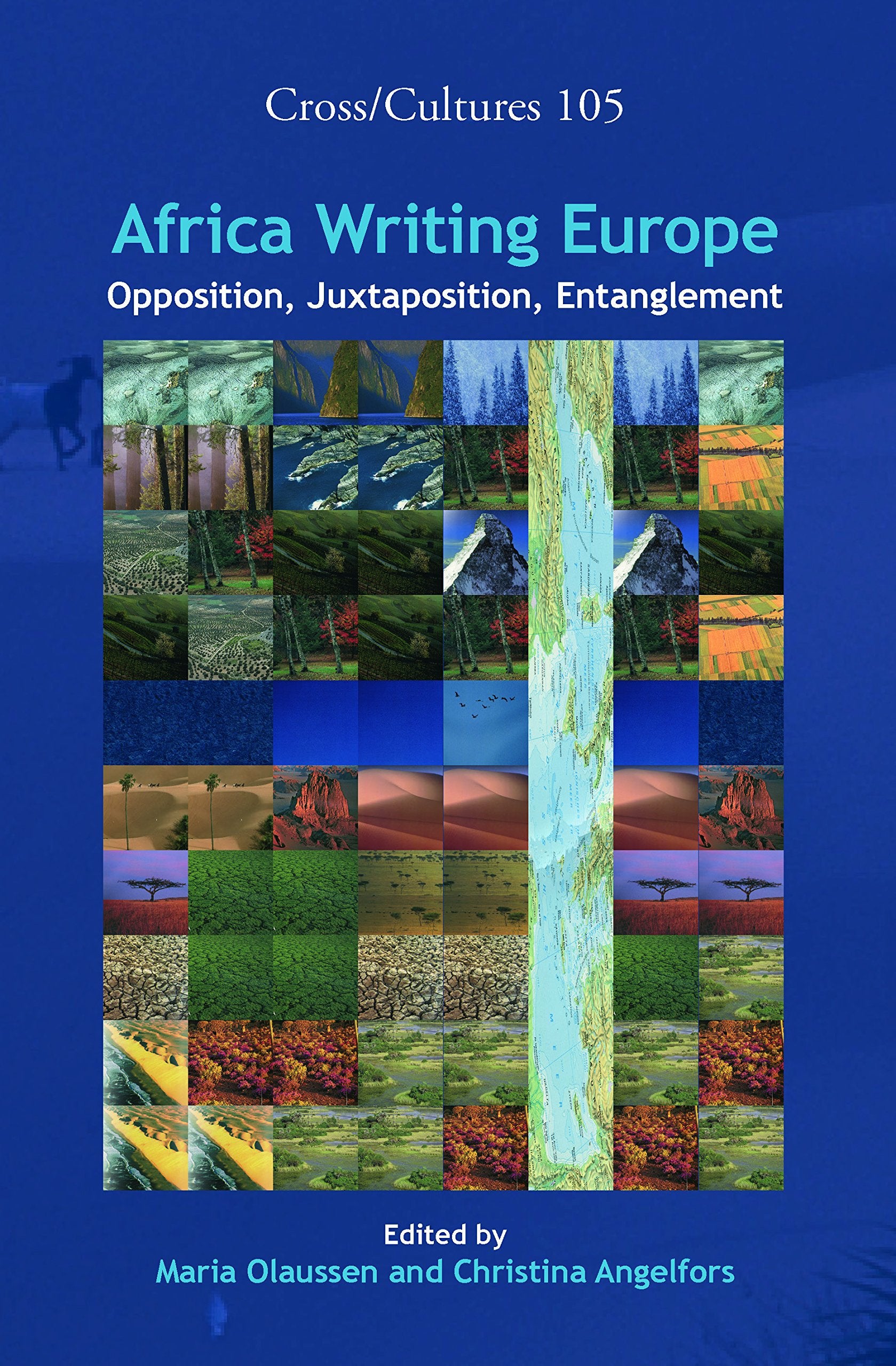 Africa Writing Europe: Opposition, Juxtaposition, Entanglement (Cross Cultures, 105, Band 105) Contemporary literature