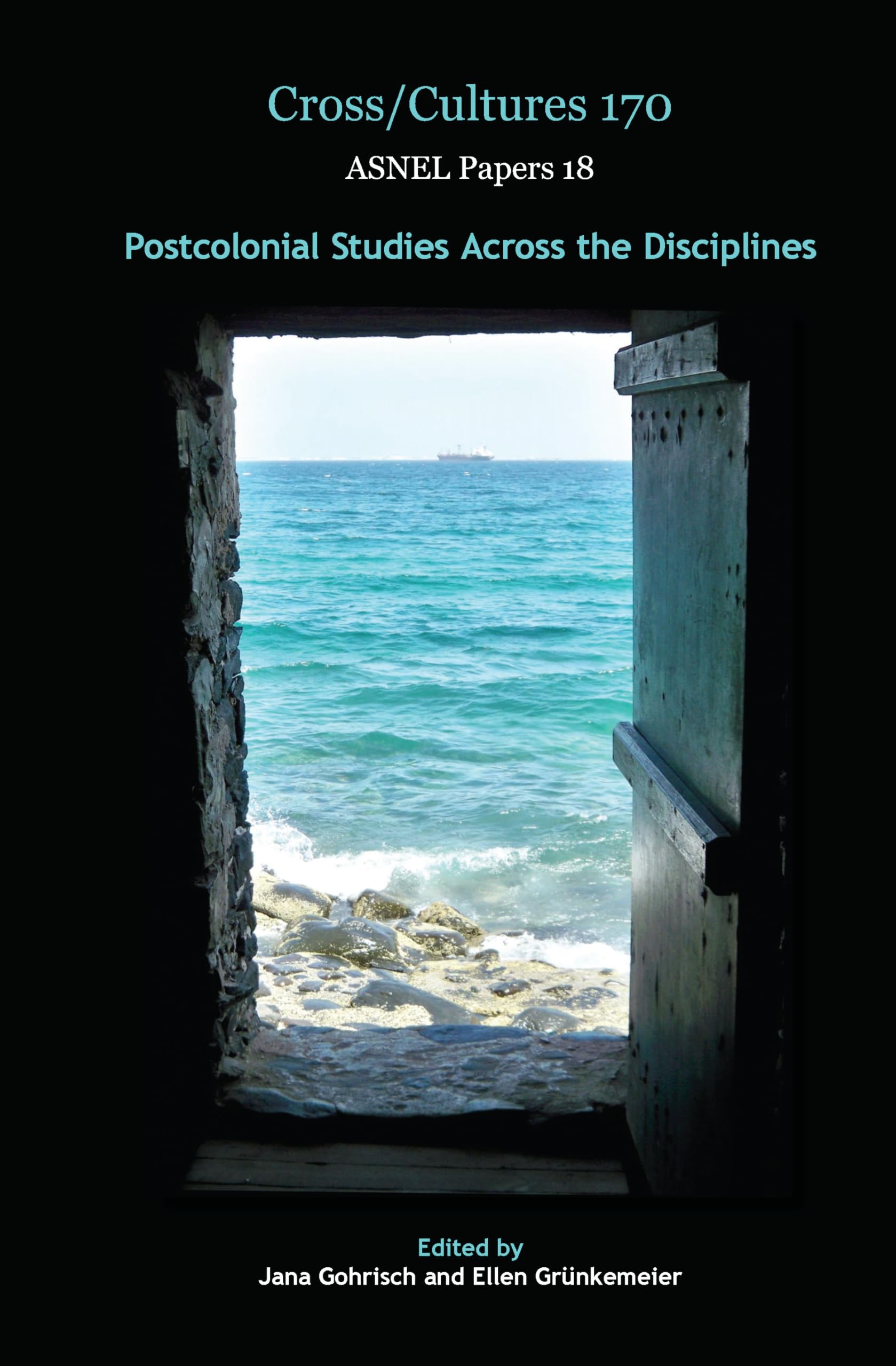 Postcolonial Studies Across the Disciplines (Cross/Cultures: Readings in the Post/Colonial Literatures in English: ASNEL Papers, 18, 170) Books