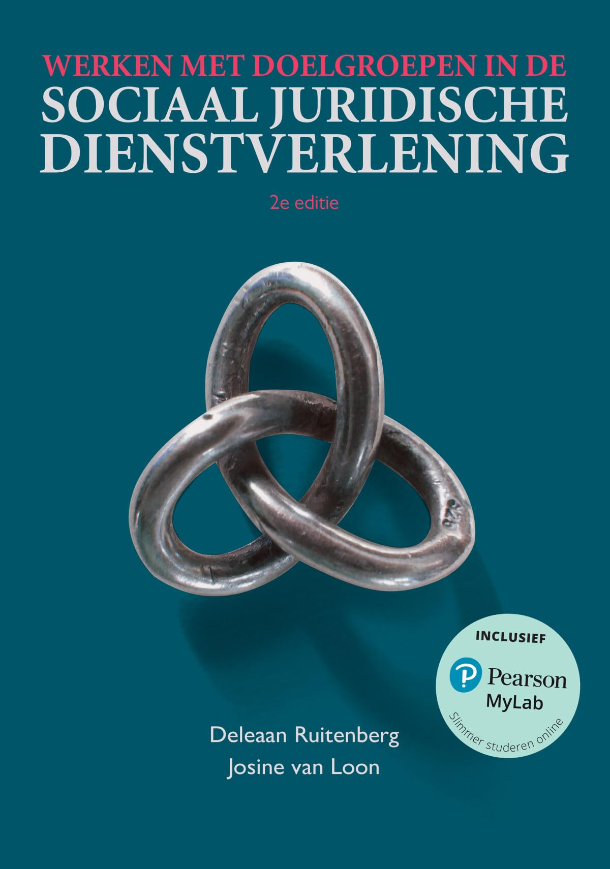 Werken met doelgroepen in de sociaal juridische dienstverlening book