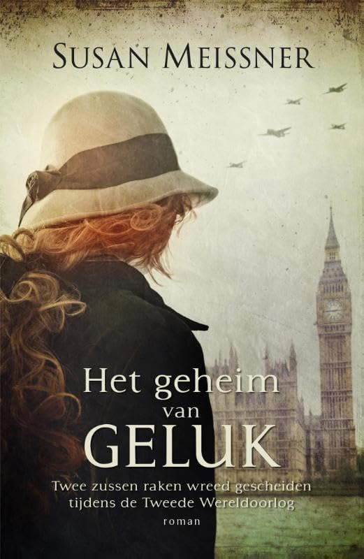 Het geheim van geluk: roman book