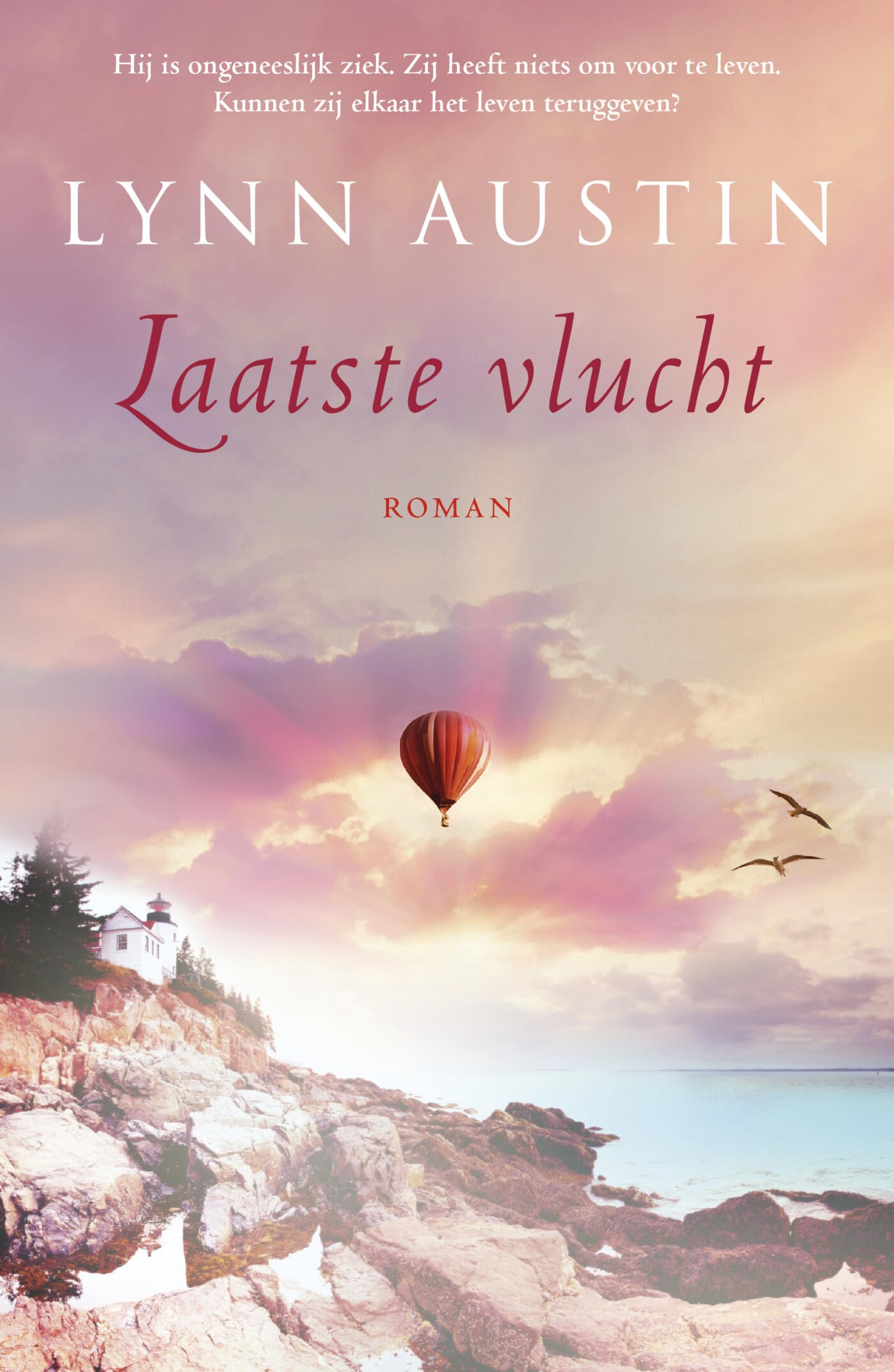 Laatste vlucht: roman book