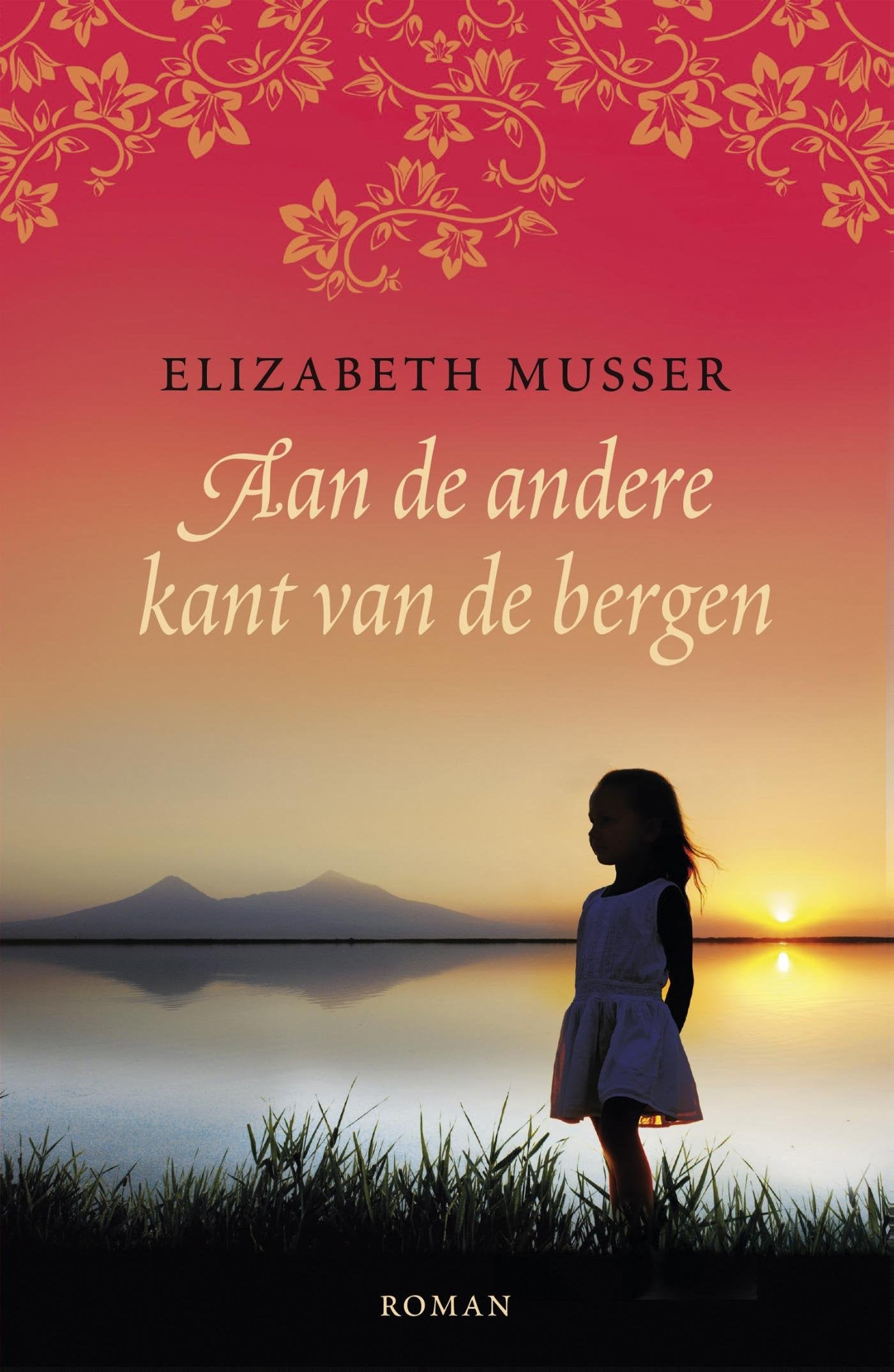 Aan de andere kant van de bergen: roman book