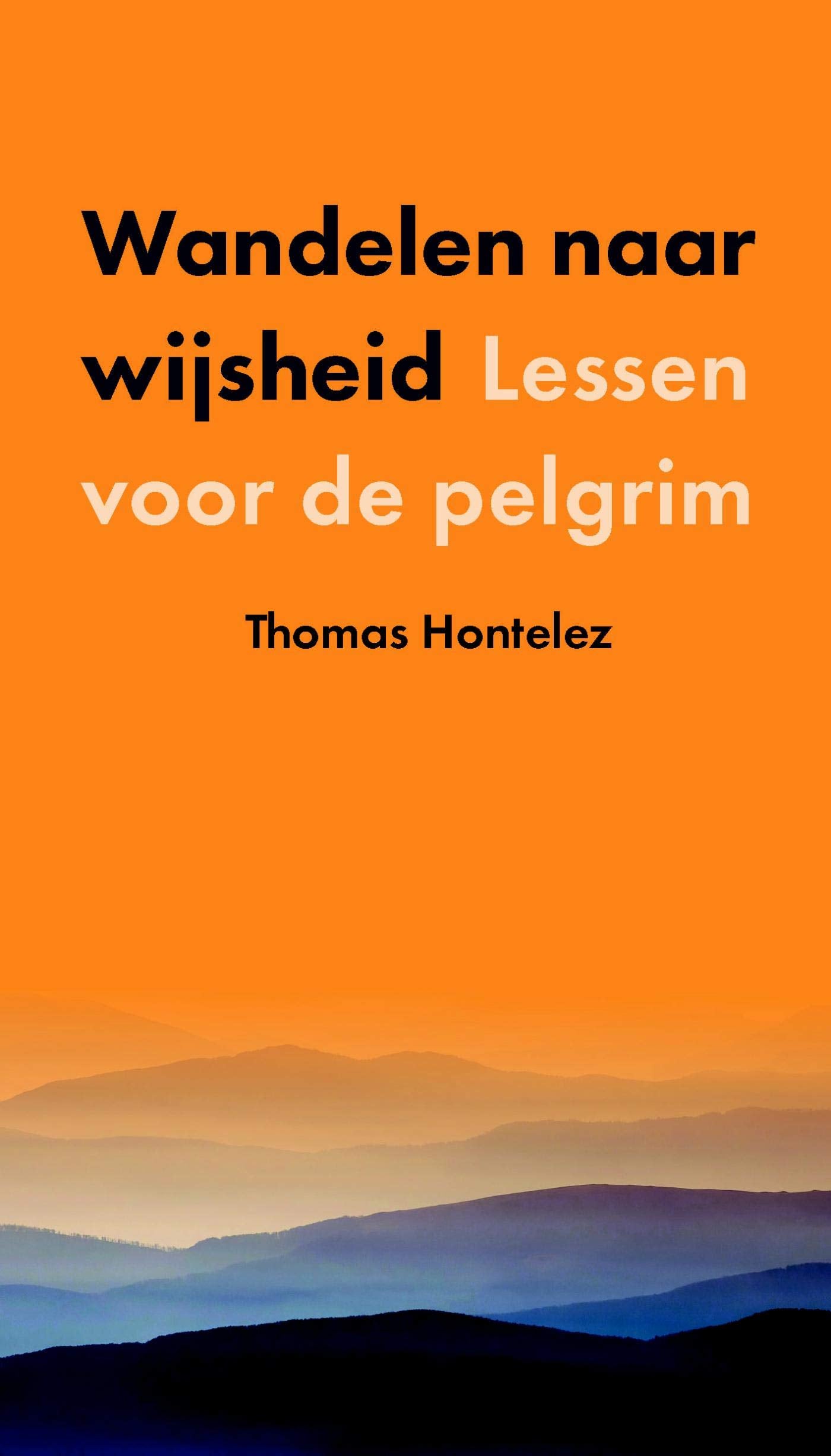 Wandelen naar wijsheid: lessen voor de pelgrim book