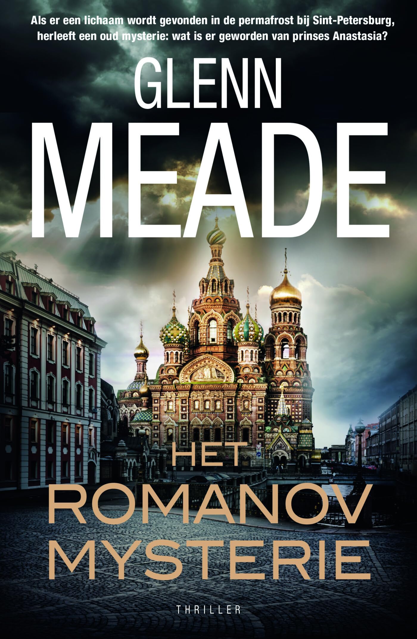 Het Romanov mysterie: thriller book
