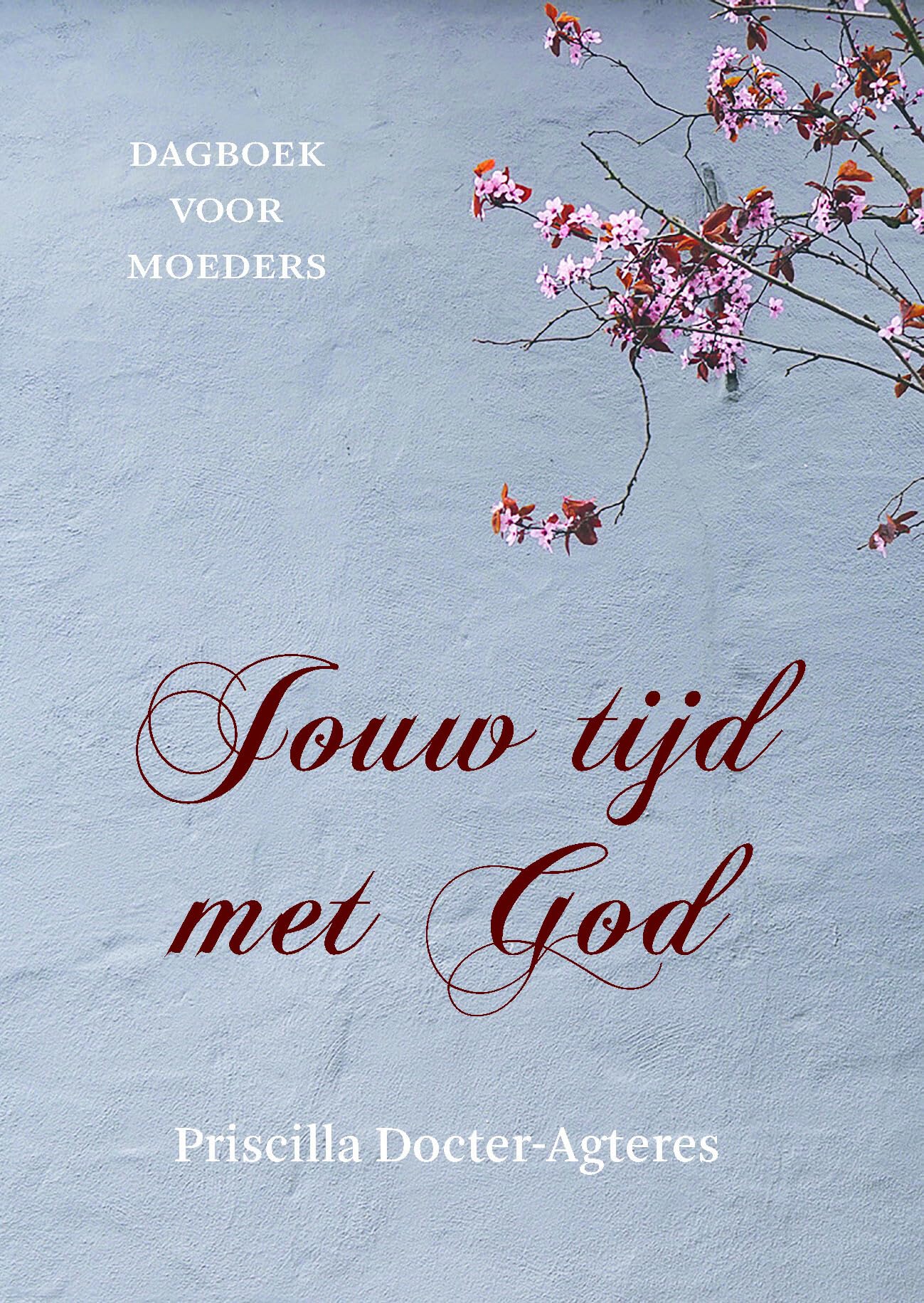 Jouw tijd met God: Dagboek voor moeders book