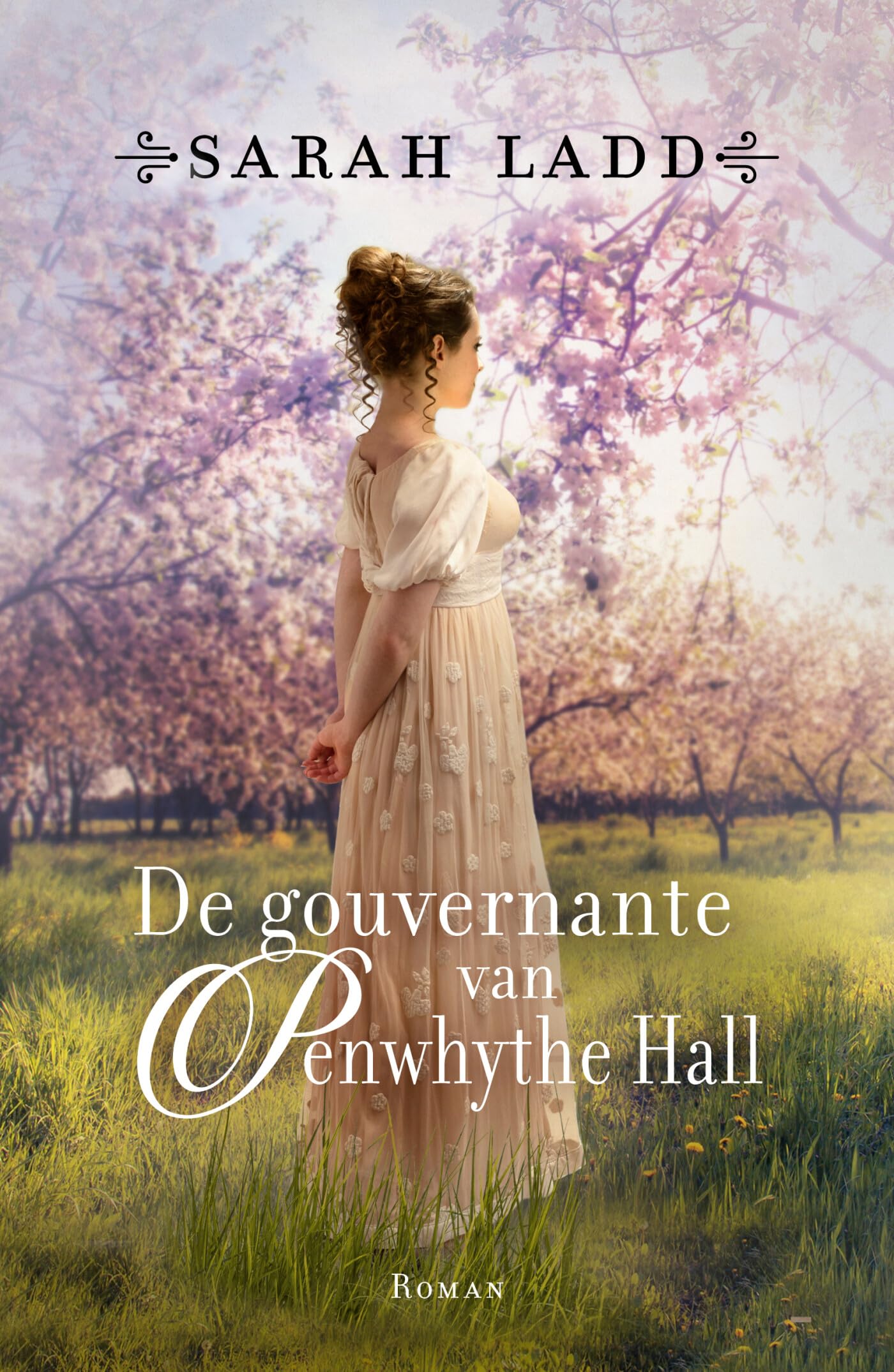 De gouvernante van Penwhythe Hall Historical Fiction