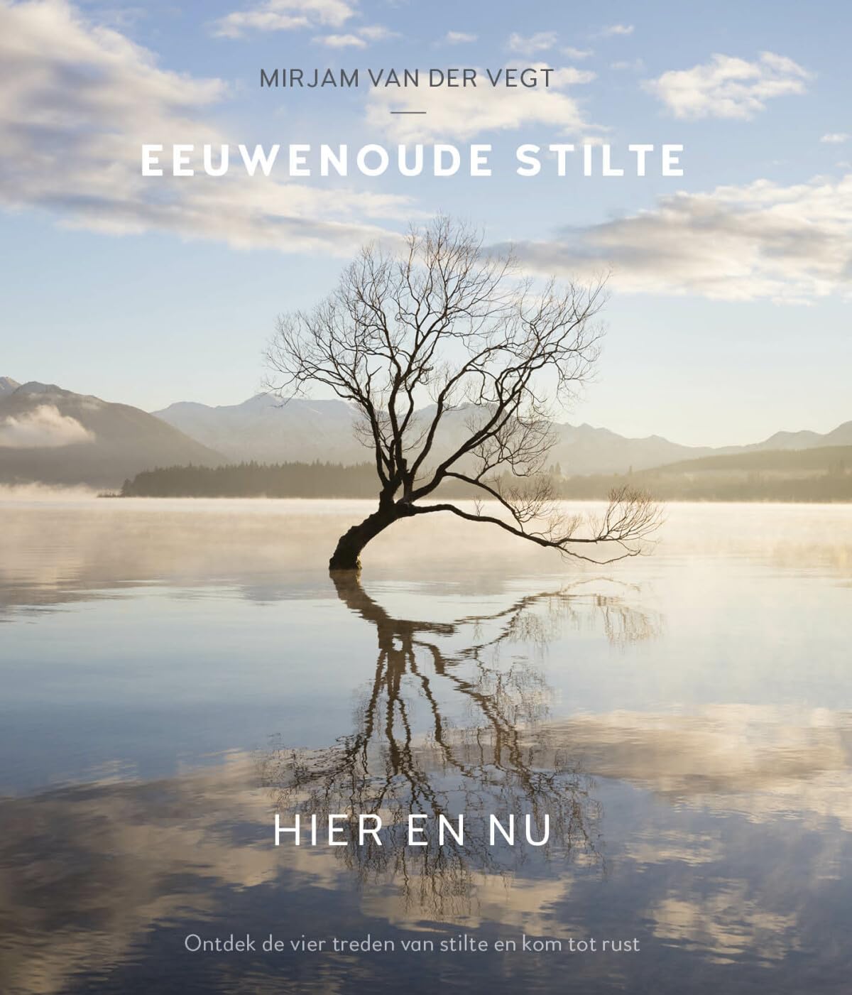 Eeuwenoude stilte hier en nu: ontdek de vier treden van stilte en kom tot rust book