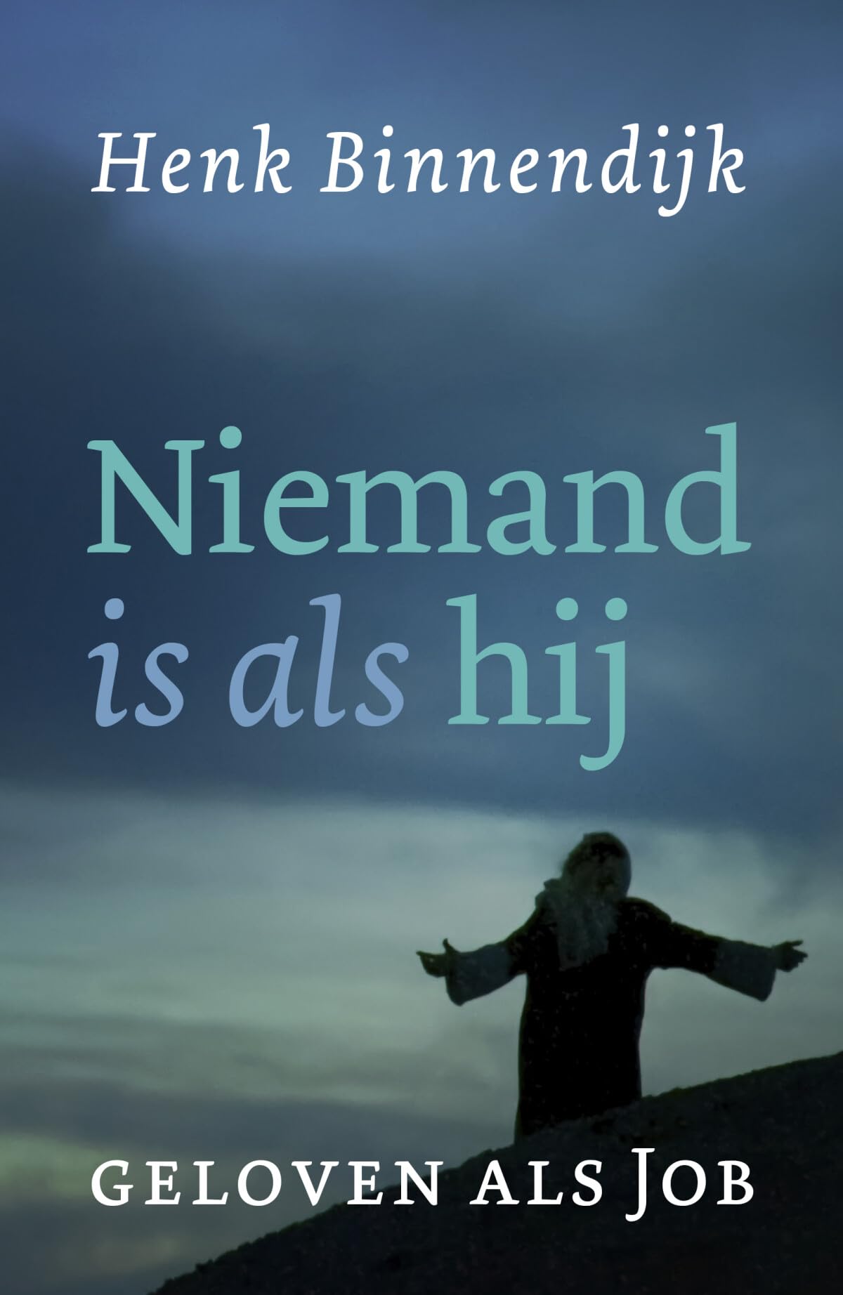 Niemand is als hij: Geloven als Job Religion & Esotericism
