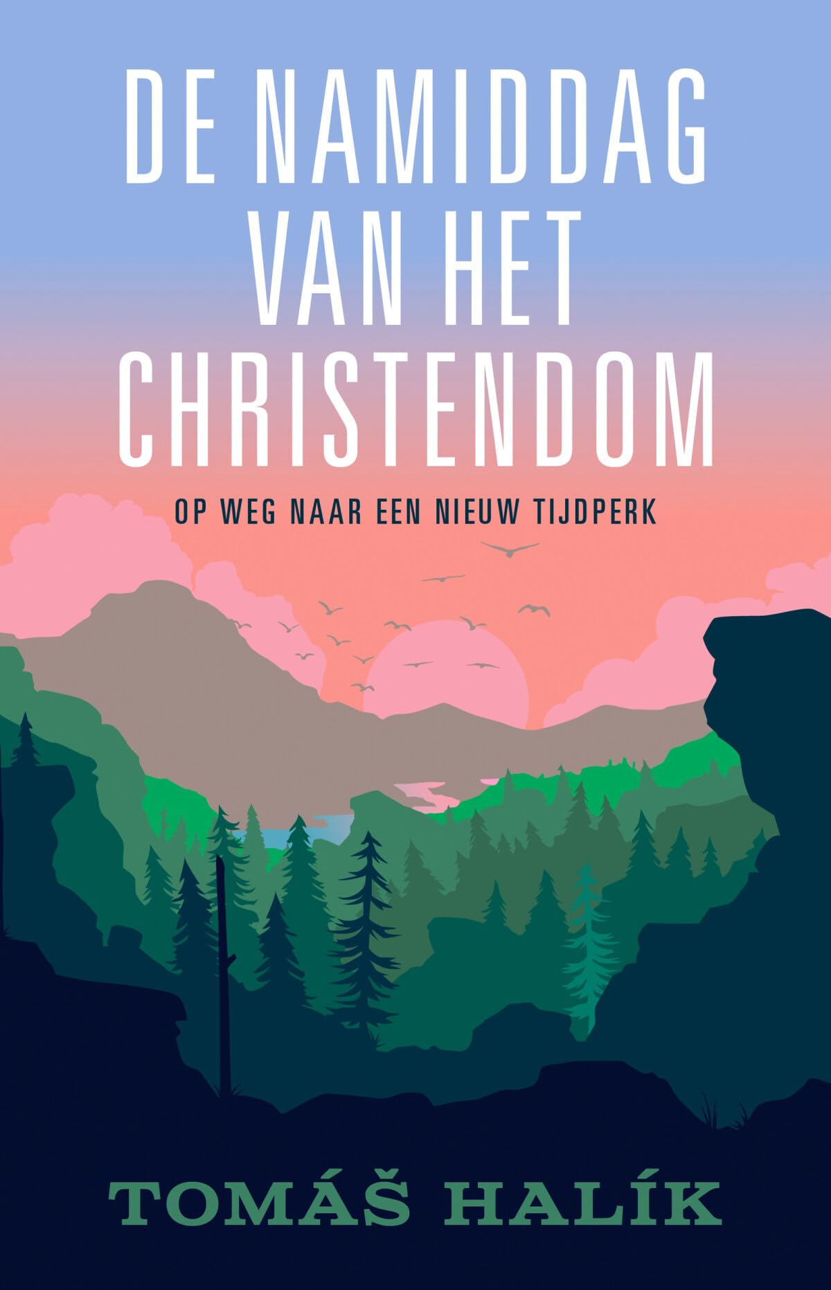 De namiddag van het christendom: op weg naar een nieuw tijdperk book