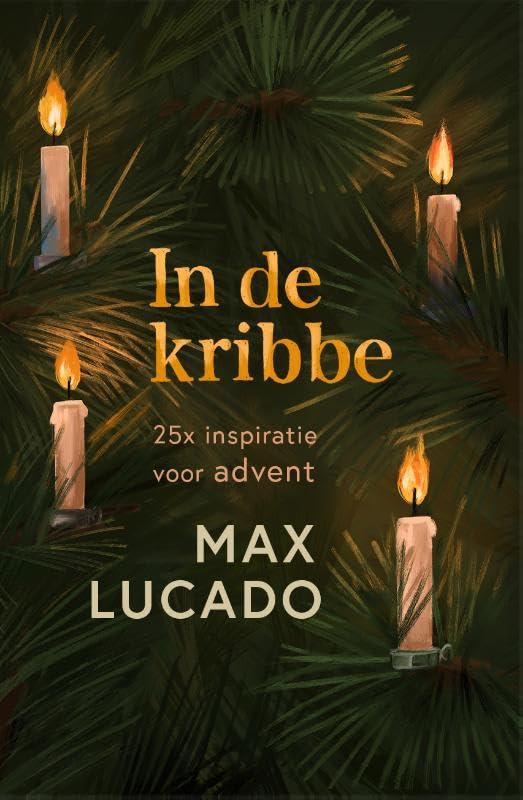 In de kribbe: 25x inspiratie voor advent book