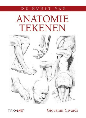 Anatomie tekenen: de structuur van de botten, gewrichten en spieren van het menselijk lichaam Film, Art & Culture