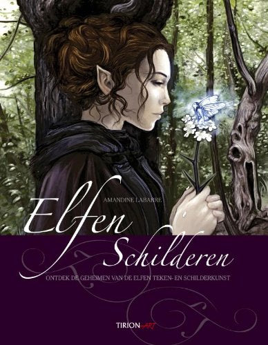 Labarre, Amandine:Elfen schilderen / druk 1 Books