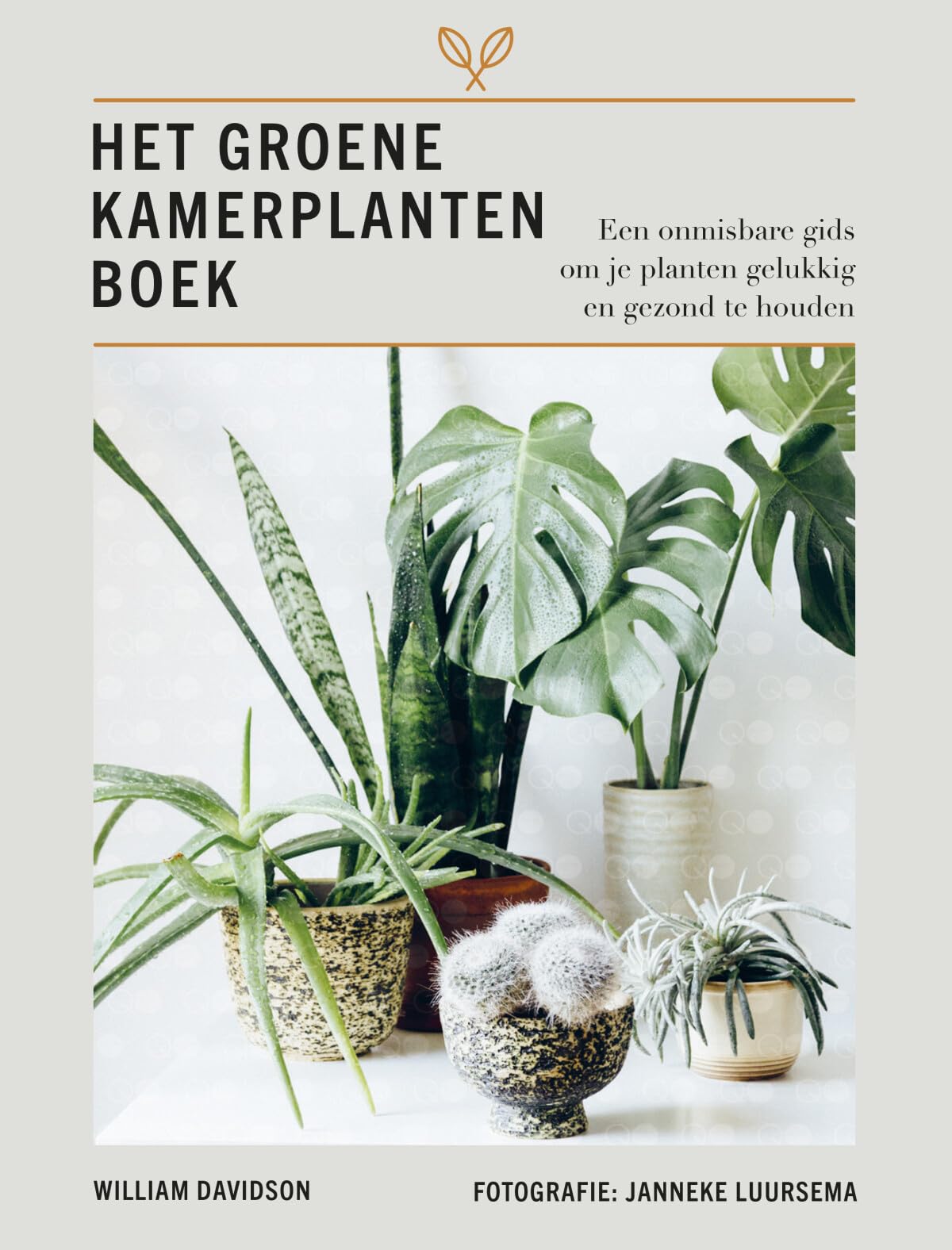 Het groene kamerplanten boek: een onmisbare gids om je planten gezond en gelukkig te houden book