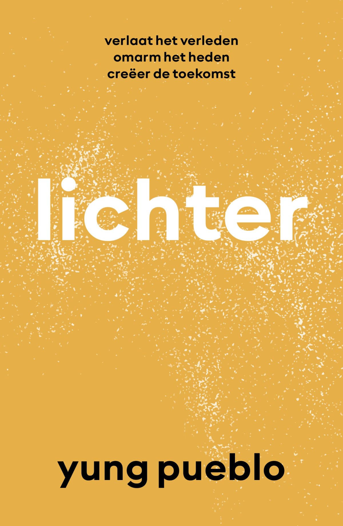 Lichter: verlaat het verleden, omarm het heden, creëer de toekomst book