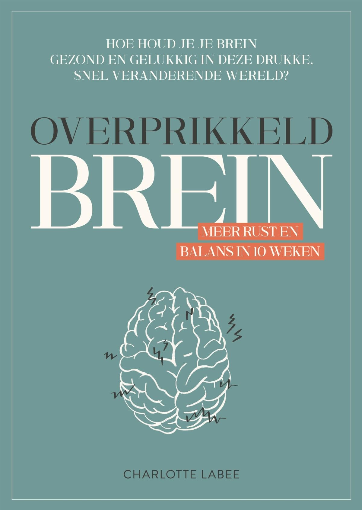 Overprikkeld brein: meer rust en balans in 10 weken Business, Finance & Career