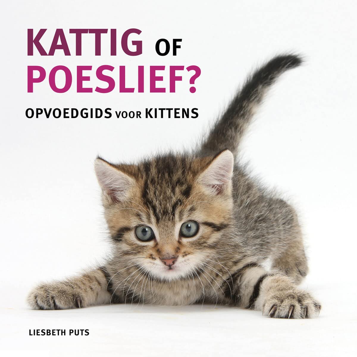 Kattig of poeslief?: opvoedgids voor kittens book