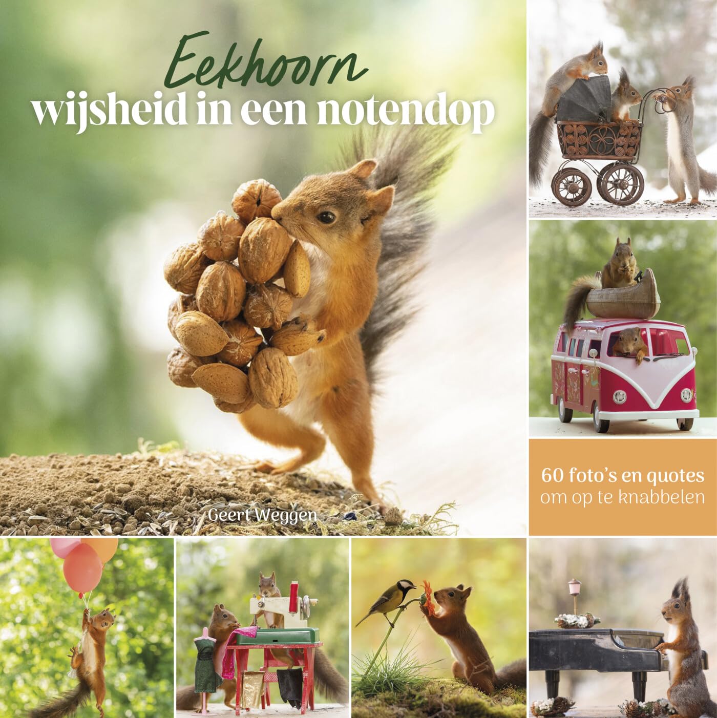 Eekhoorn: wijsheid in een notendop book