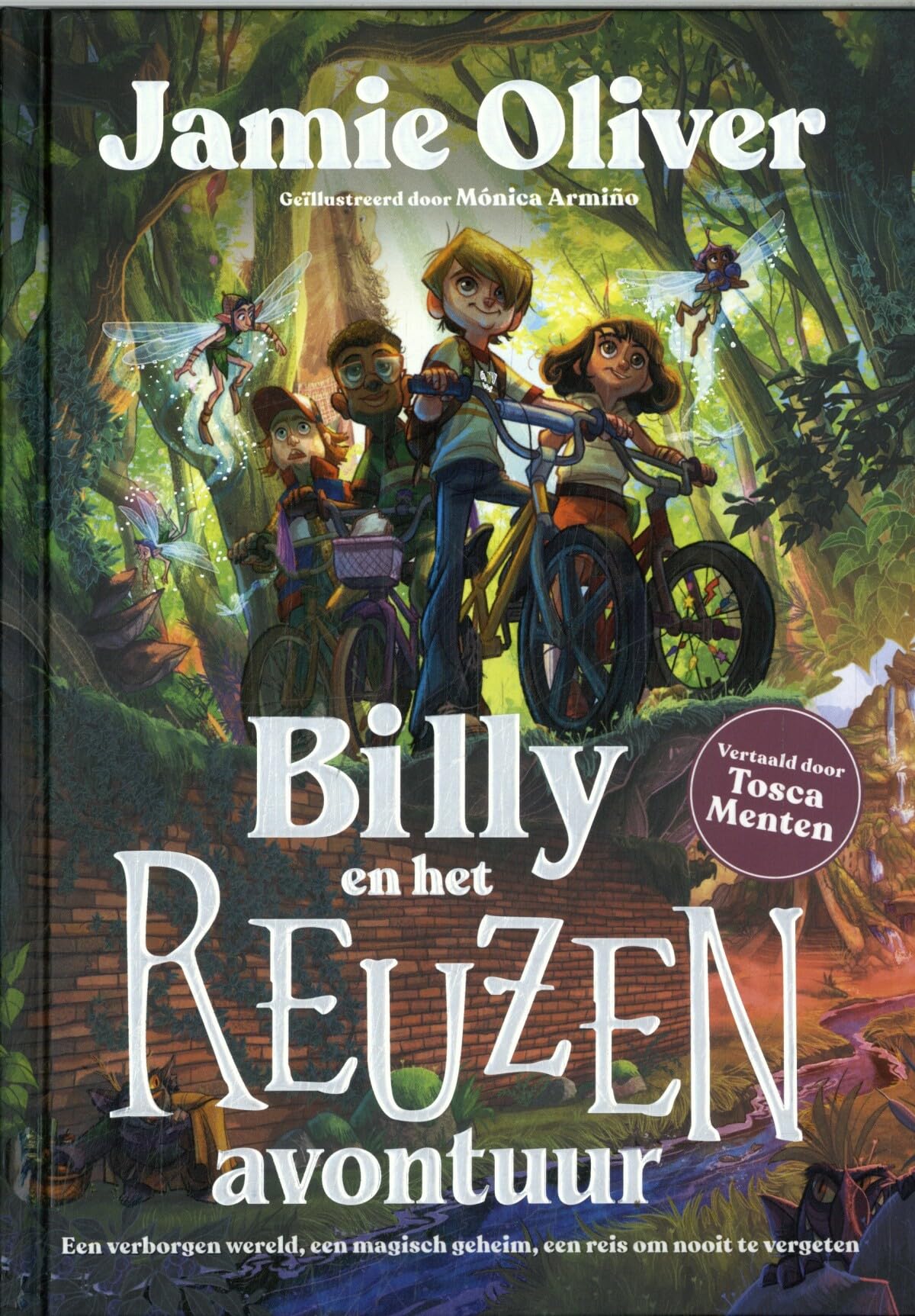 Billy en het Reuzenavontuur: Een verborgen wereld, een magisch geheim, een reis om nooit te vergeten book