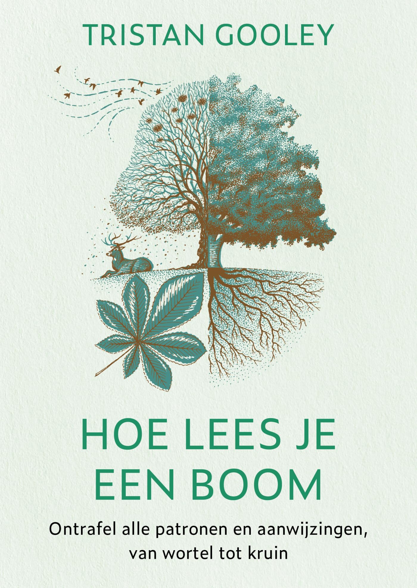 Hoe lees je een boom: ontrafel alle patronen en aanwijzingen, van wortel tot kruin book