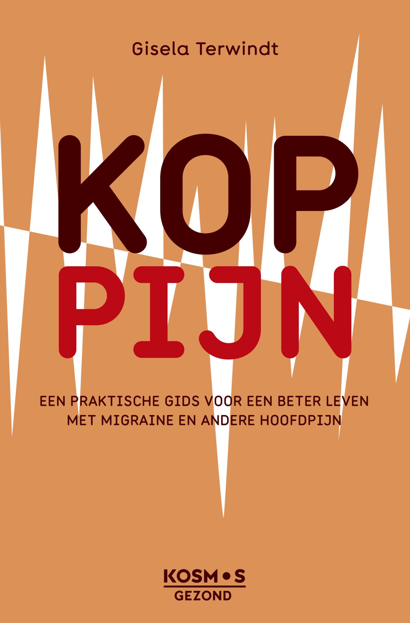Koppijn: een praktische gids voor een beter leven met migraine en andere hoofdpijn book
