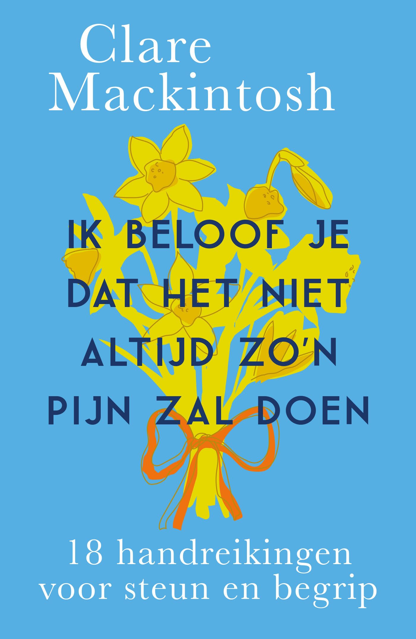 Ik beloof je dat het niet altijd zo'n pijn zal doen: 18 handreikingen voor steun en begrip book