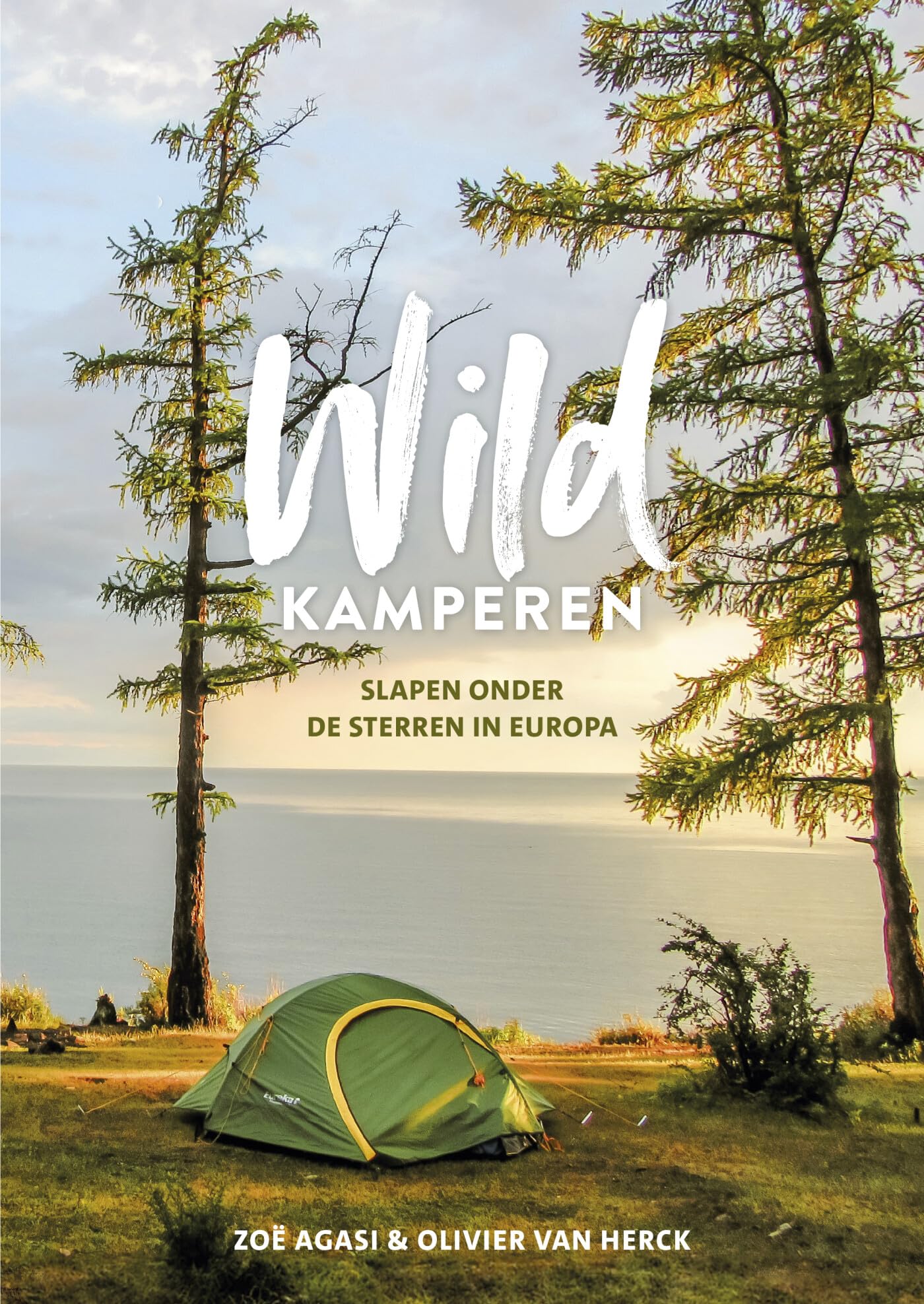 Wildkamperen: slapen onder de sterren in Europa book