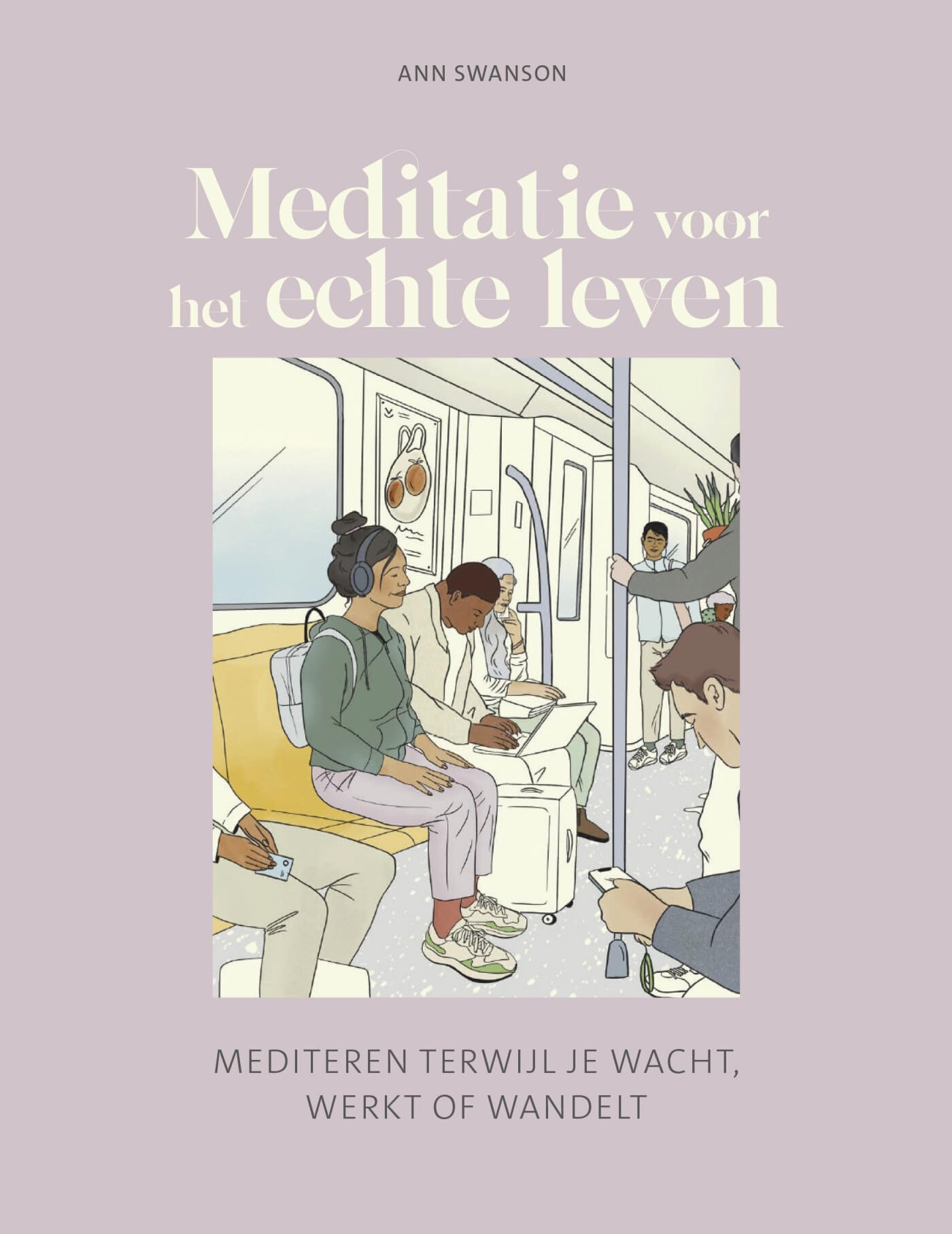 Meditatie voor het echte leven: mediteren terwijl je wacht, werkt of wandelt book