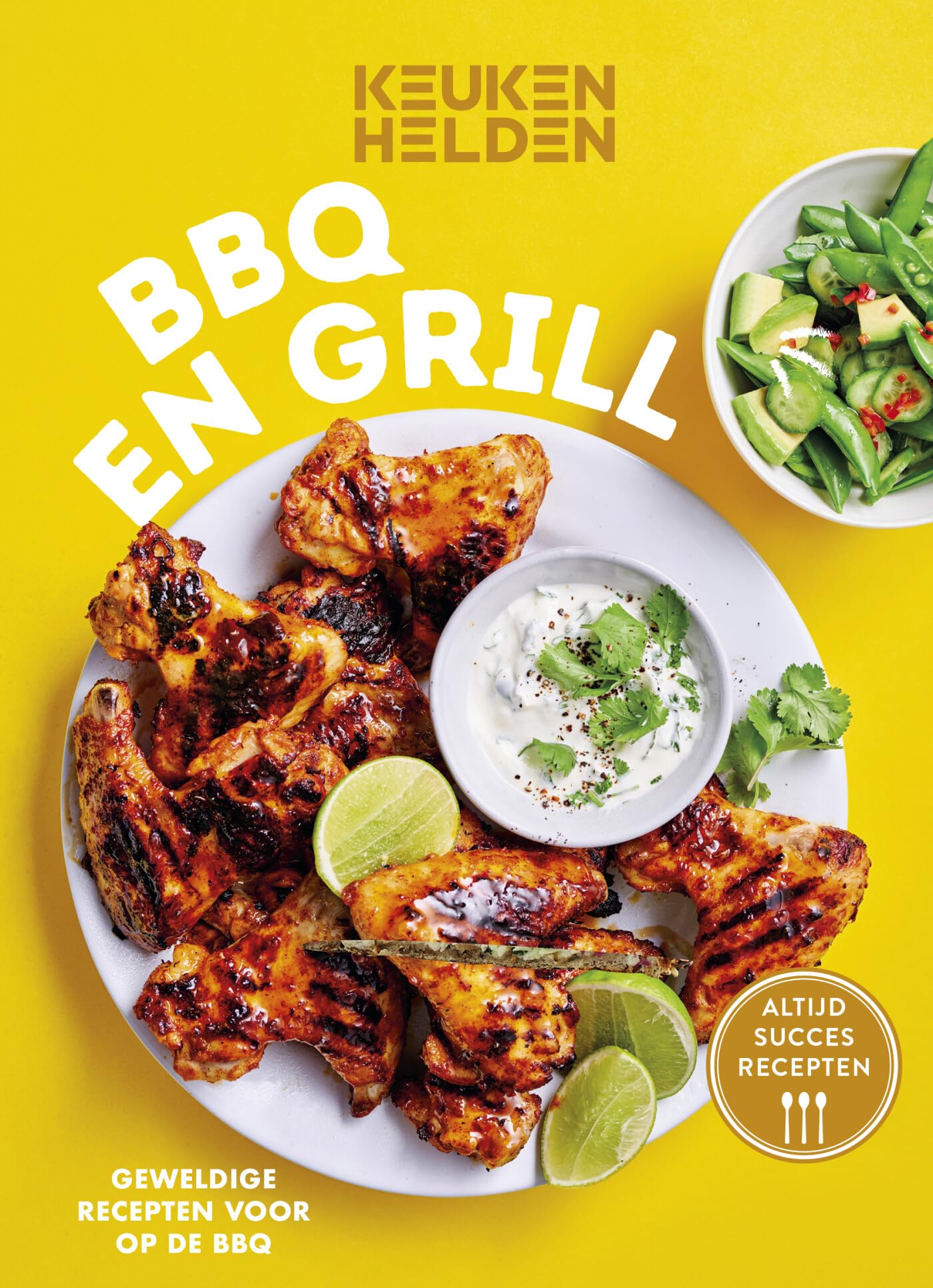 BBQ en grill: geweldige recepten voor op de BBQ book