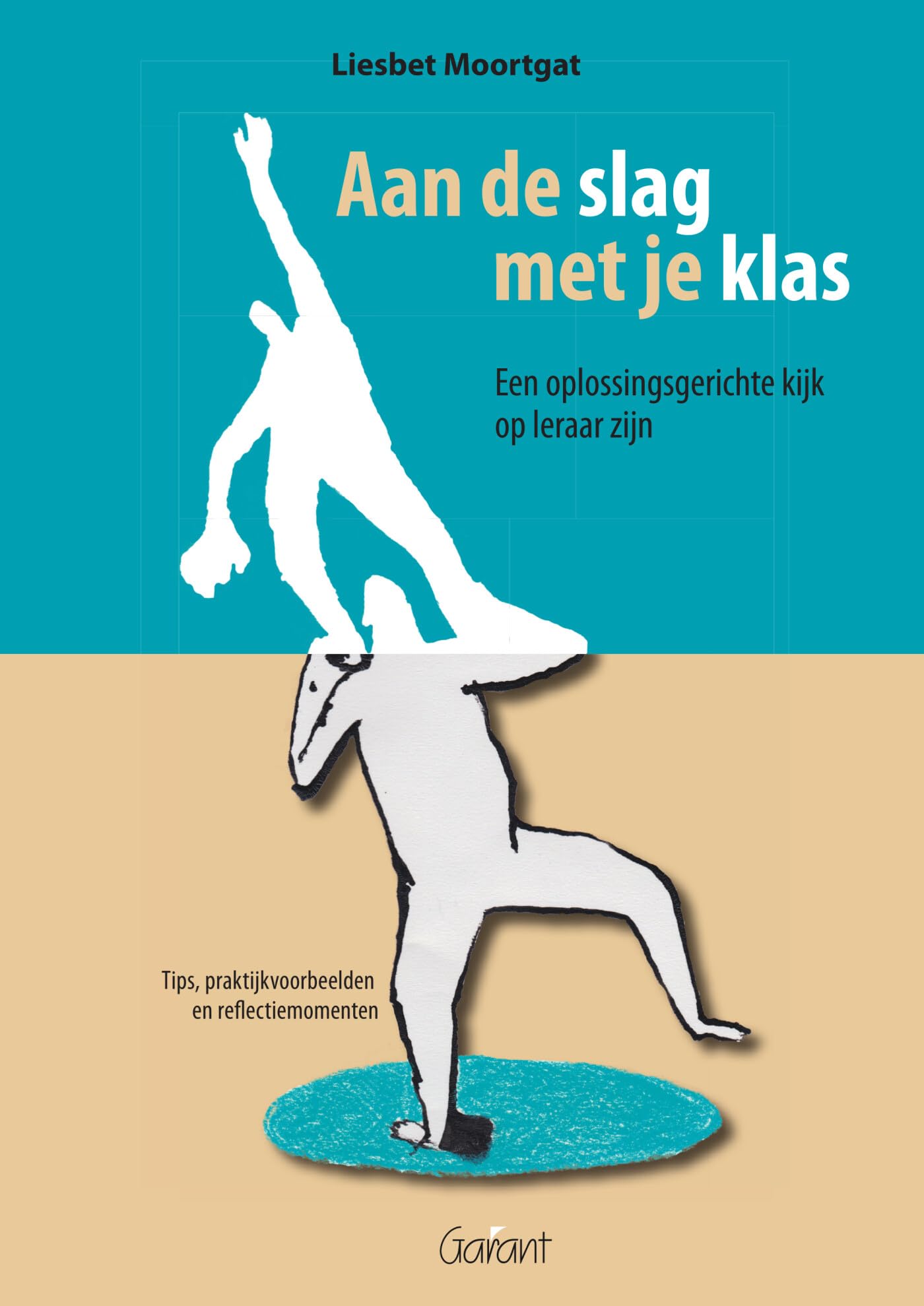 Aan de slag met je klas: een oplossingsgerichte kijk op leraar zijn : tips, praktijkvoorbeelden en reflectiemomenten book
