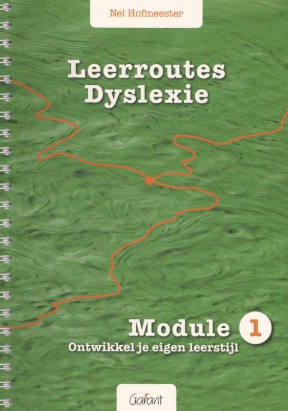 Leerroutes dyslexie: Ontwikkel je eigen leerstijl book